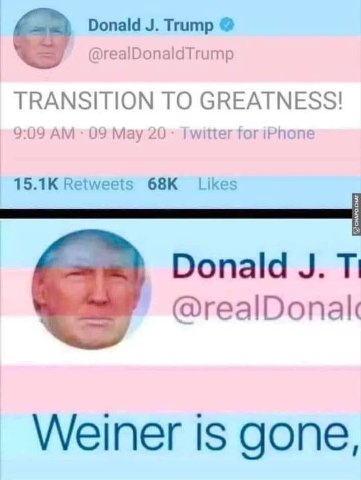Donald Trump @realDonaldTrump TRANSITION TO GREATNESS! 9:09 09 May 20 witter for 15.1К Retweets 68К Likes Donald @realDonalc Weiner is gone,