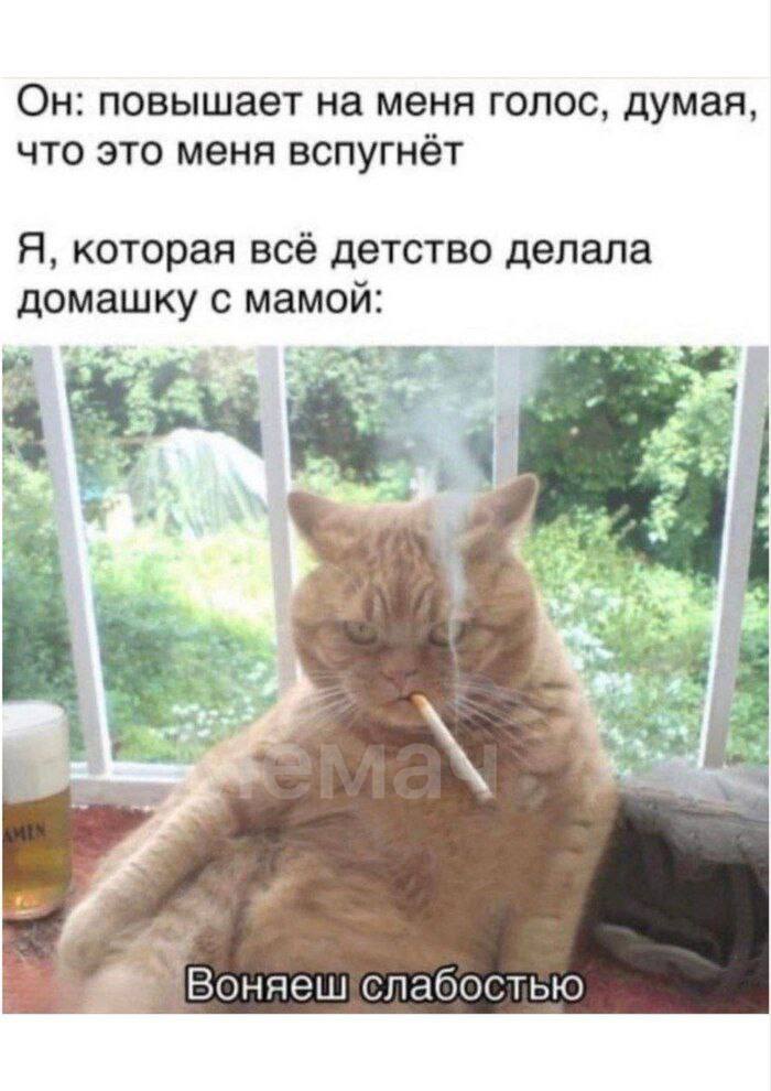 Он: повышает на меня голос, думая, что это меня вспугнёт Я, которая всё детство делала домашку с мамой: Воняешслабостью