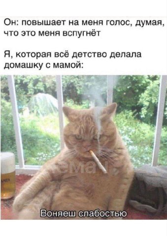 Он: повышает на меня голос, думая, что это меня вспугнёт Я, которая всё детство делала домашку с мамой: Воняешслабостью