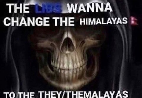 ТНЕ” WANNA CHANGE THE HIMALAYAS TO THE THEY/THEMALAYAS