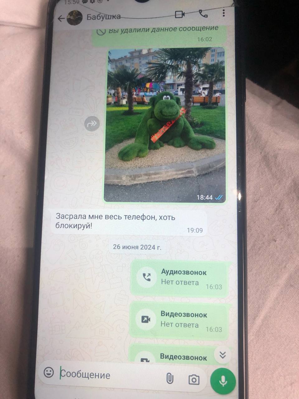 Бабушка ное сообщение вы удалили дан Засрала мне весь телефон, хоть блокируй! 26 июня 2024 Аудиозвонок у OTE Видеозвонок тет OTBE о о