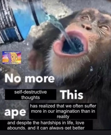 self-destructive thoughts This has realized that we often suffer imagination than in ape more in our i reality and despite the hardships in life, love abounds. and it can alwavs aet better
