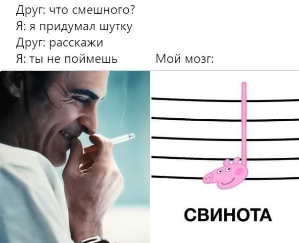 Друг: что смешного? Я: я придумал шутку Друг: расскажи Я: ты не поймешь Мой мозг: СВИНОТА