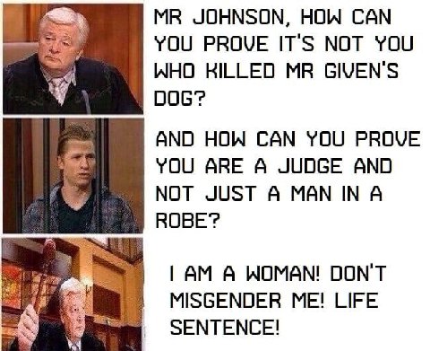 JOHNSON, HOW CAN YOU PROVE IT'S NOT YOU WHO KILLED GIVEN'S 006? AND HOW CAN YOU PROVE YOU ARE A JUDGE AND NOT JUST A MAN IN A ВОВЕ? А WOMAN! DON'T MISGENDER ME! LIFE SENTENCE!
