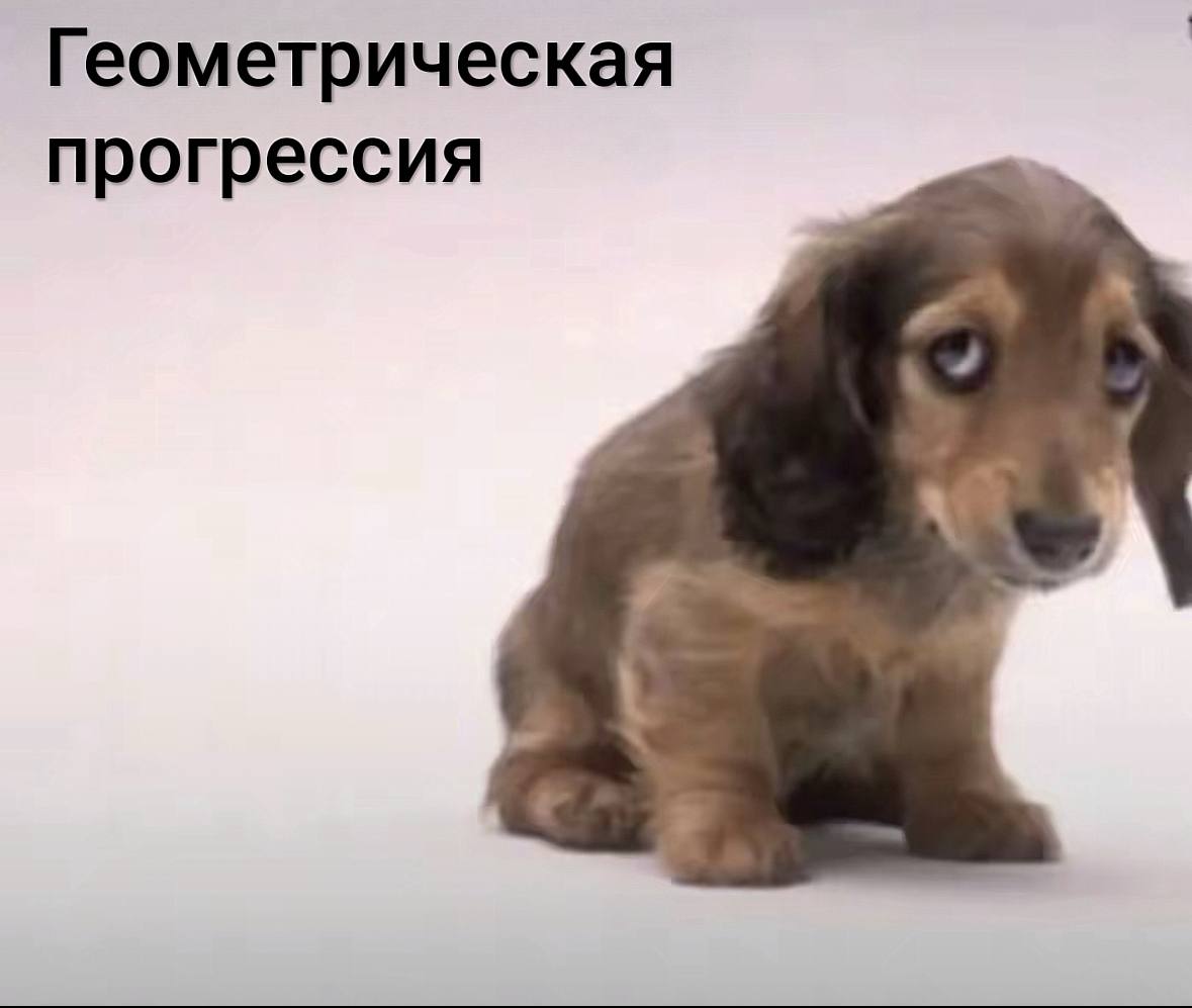 Геометрическая прогрессия