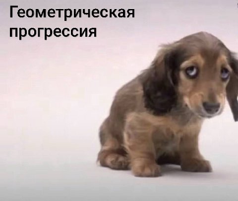 Геометрическая прогрессия