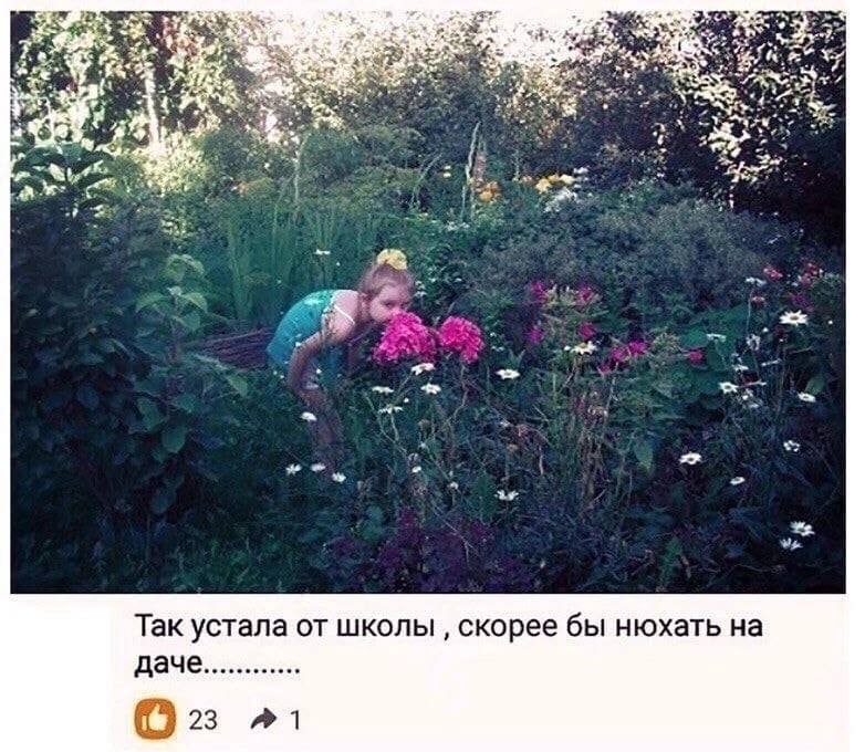 43 к $5 у 7$ 7% Так устала от школы скорее бы нюхать на A1