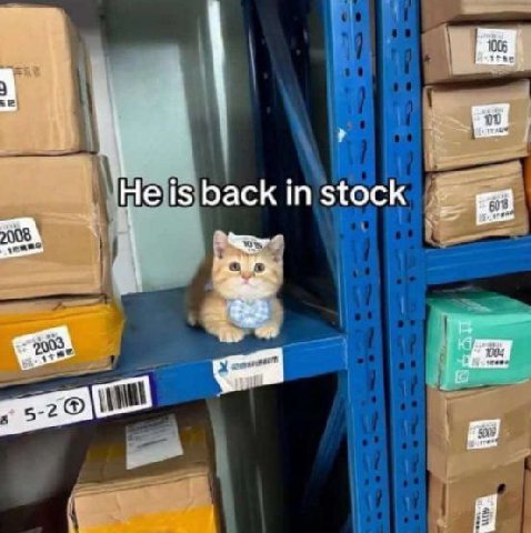 back in stock
