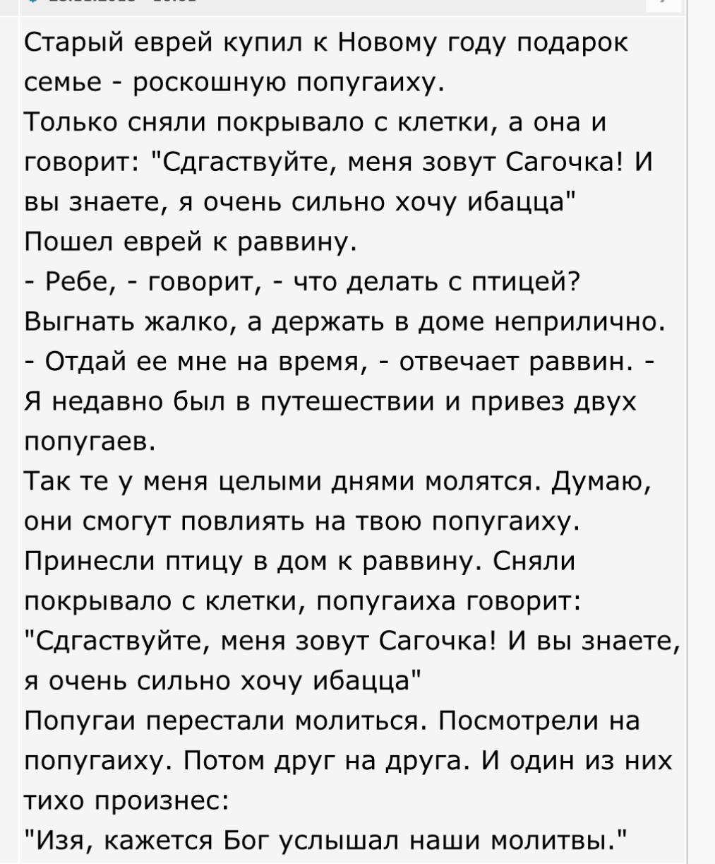 Старый еврей купил к Новому году подарок семье роскошную попугаиху. Только сняли покрывало с клетки, а она и говорит: "Сдгаствуйте, меня зовут Сагочка! И вы знаете, я очень сильно хочу ибацца" Пошел е