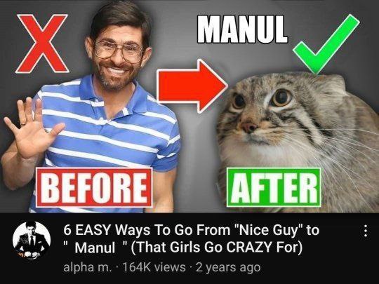 A BEFORE 6 EASY Ways То From "Nice Guy" to 4 Мапи! (That Girls CRAZY For) alpha views 2 years ago