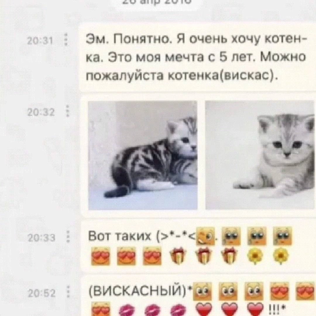 031 Понятно. Я очень хочу котен- Это моя мечта с 5 лет. Можно пожалуйста котенка(вискас). озз Воттаких (8 а 99