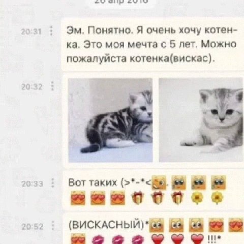031 Понятно. Я очень хочу котен- Это моя мечта с 5 лет. Можно пожалуйста котенка(вискас). озз Воттаких (8 а 99