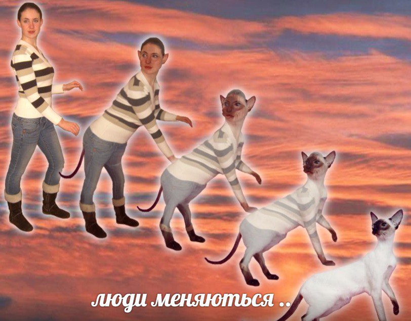 люди меняються