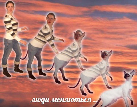 люди меняються