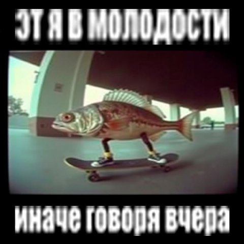молодости иначе говоря вчера