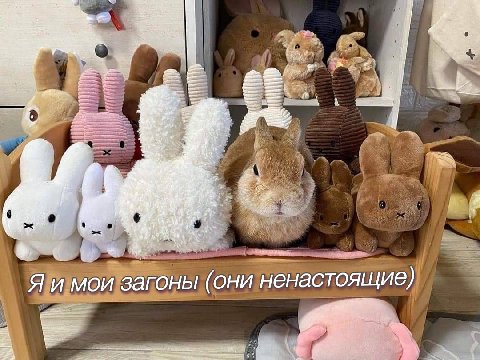 Заходит как-то в БАР Катя Рашова, а там подписчики Ритуалов следят за ментальным здоровьем и вообще активно интересуются как помочь себе и своим близкми в тяжелое время.

Катя на данный момент получае