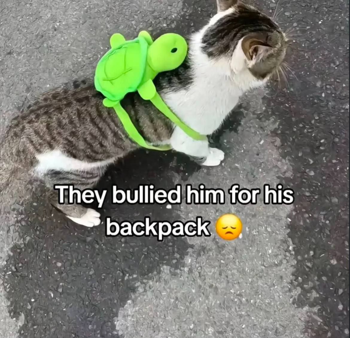They bullied him for his backpack