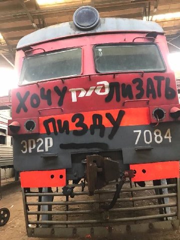 pro 7084