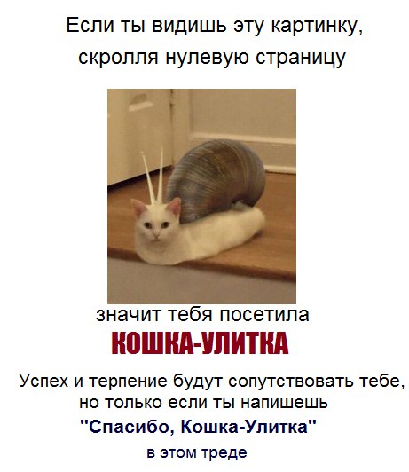 Если ты видишь эту картинку, скролля нулевую страницу значит тебя посетила КОШКА-УЛИТКА Успех и терпение будут сопутствовать тебе, но только если ты напишешь "Спасибо, Кошка-Улитка" в этом треде