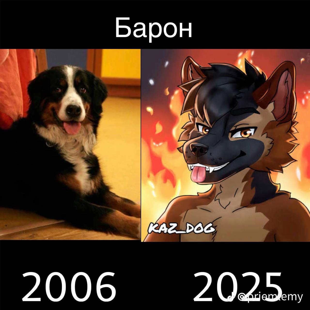 Барон 2006