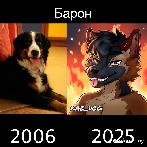 Барон 2006