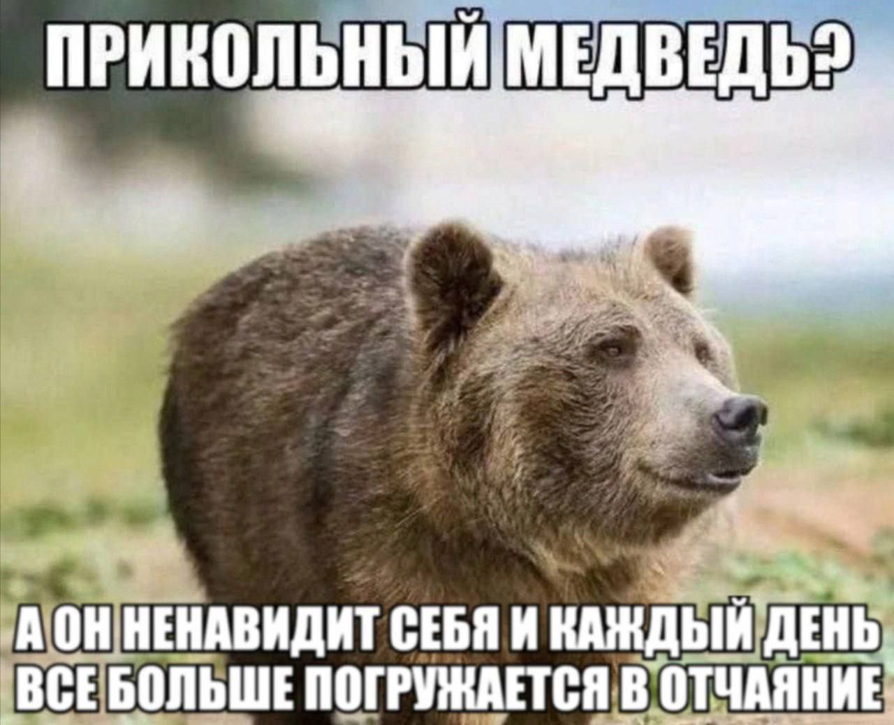 ПРИКОЛЬНЫЙ, НЕНАВИДИТ СЕБЯ И КАЖДЫЙ ДЕНЬ ПОГРУЖАЕТСЯ В ОТЧАЯНИЕ