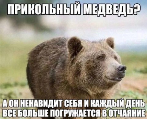 ПРИКОЛЬНЫЙ, НЕНАВИДИТ СЕБЯ И КАЖДЫЙ ДЕНЬ ПОГРУЖАЕТСЯ В ОТЧАЯНИЕ