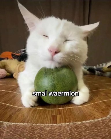 smal