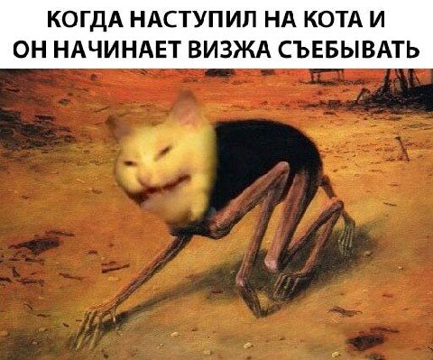 КОГДА НАСТУПИЛ НА КОТА И ОН НАЧИНАЕТ ВИЗЖА СЪЕБЫВАТЬ