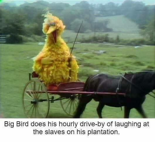 Big Bird does his hourly drive-by of laughing at the slaves on his plantation.