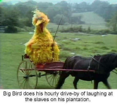 Big Bird does his hourly drive-by of laughing at the slaves on his plantation.
