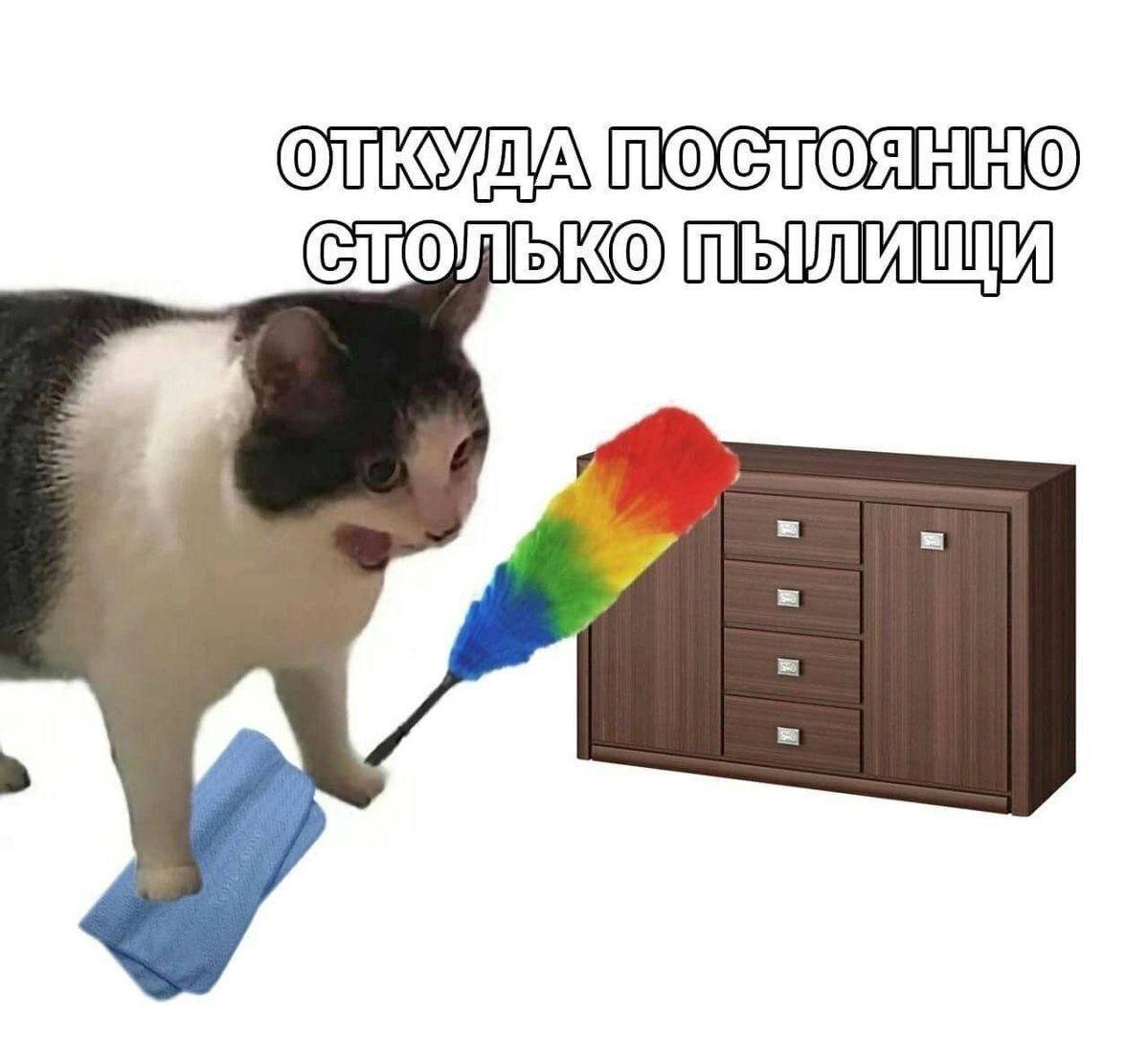 СТОЛЬКО A