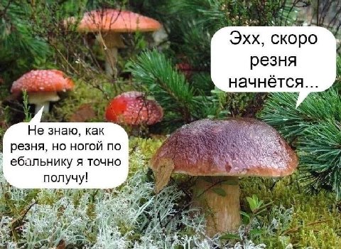 Эхх, скоро резня начнется... 4 Не знаю, как резня, но ногой по ебальнику я точно получу! rad