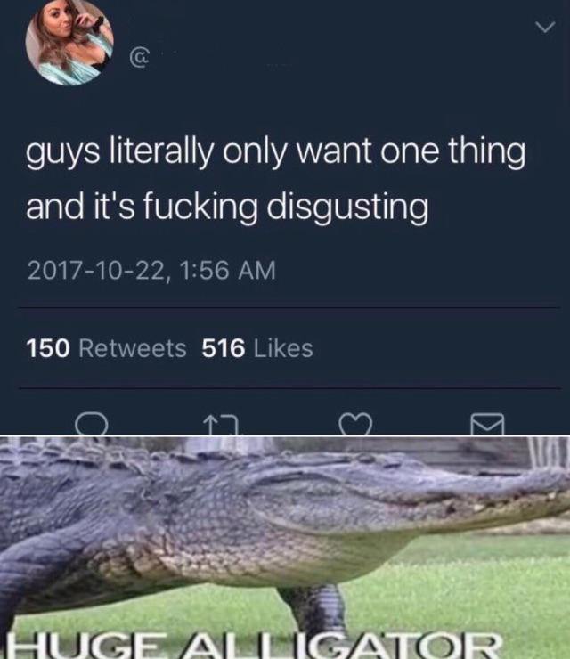 у guys literally only want one thing and it's fucking disgusting 2017-10-22, 1:56 150 Retweets 516 Likes а 4 А