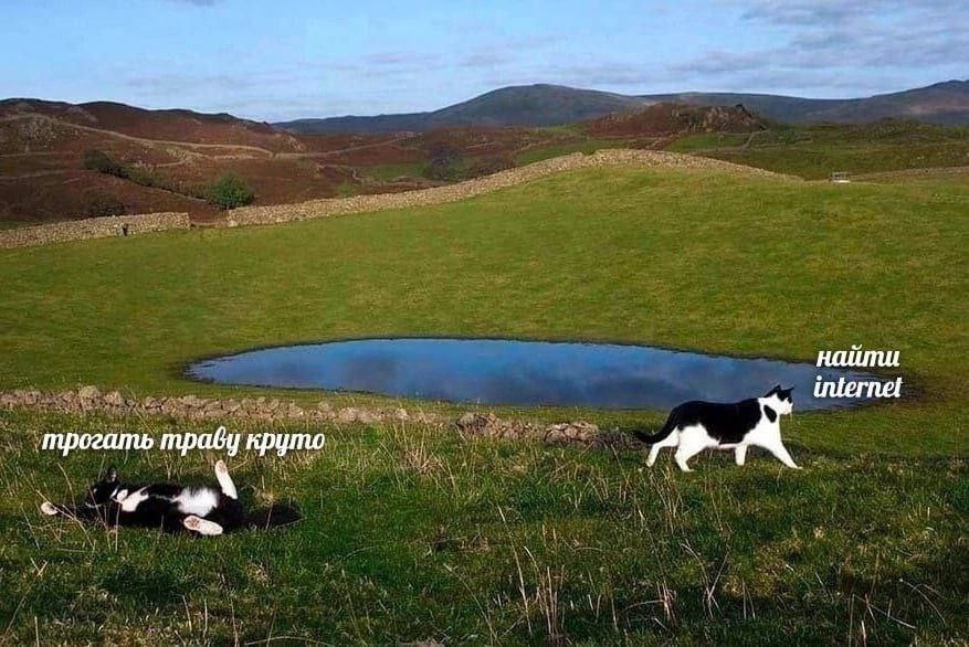 трогать траву круто