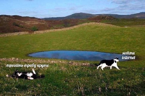 трогать траву круто
