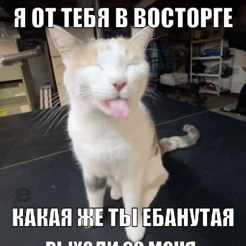 Я ОТТЕБЯ В ВОСТОРГЕ КАКАЯ