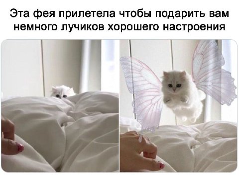 Эта фея прилетела чтобы подарить вам немного лучиков хорошего настроения