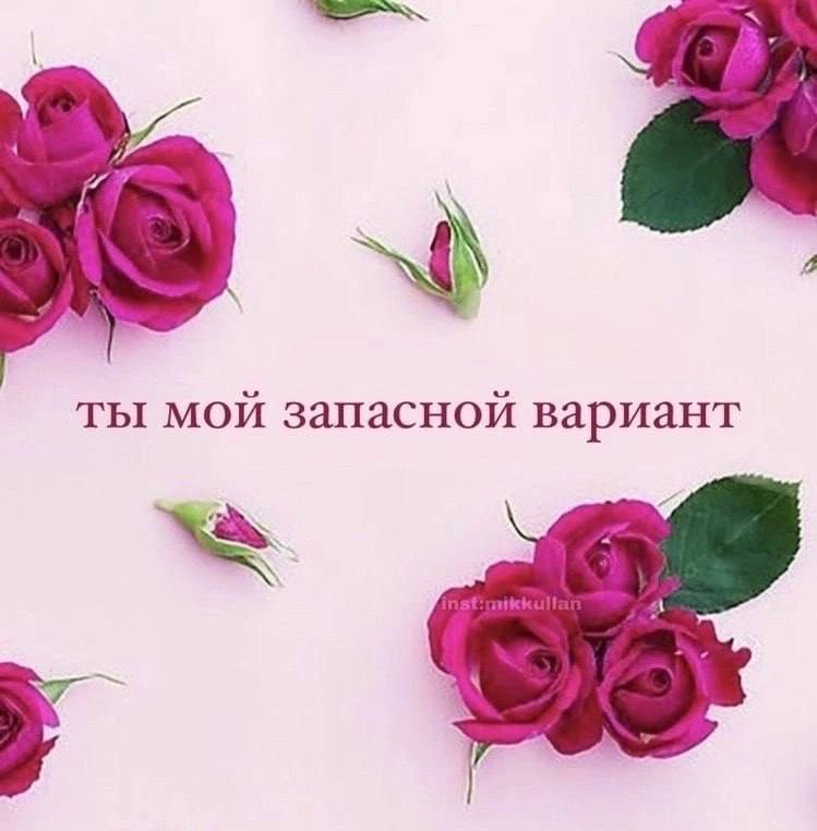 ты мой запасной вариант