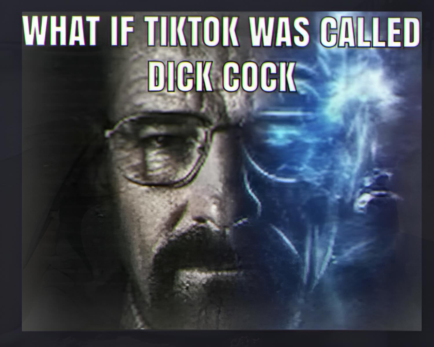 WHAT IF TIKTOK WAS DICK