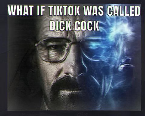 WHAT IF TIKTOK WAS DICK