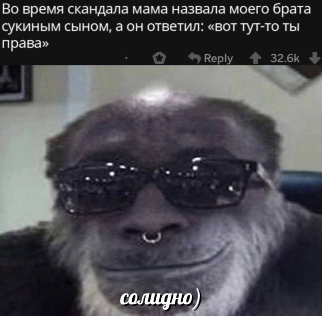 Во время скандала мама назвала моего брата сукиным сыном, а он ответил: «вот тут-то ты права» солидно)