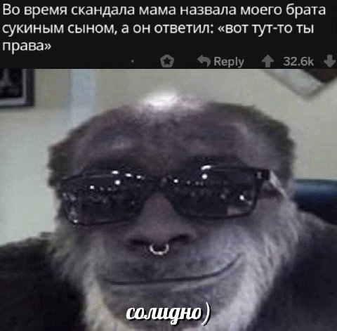 Во время скандала мама назвала моего брата сукиным сыном, а он ответил: «вот тут-то ты права» солидно)