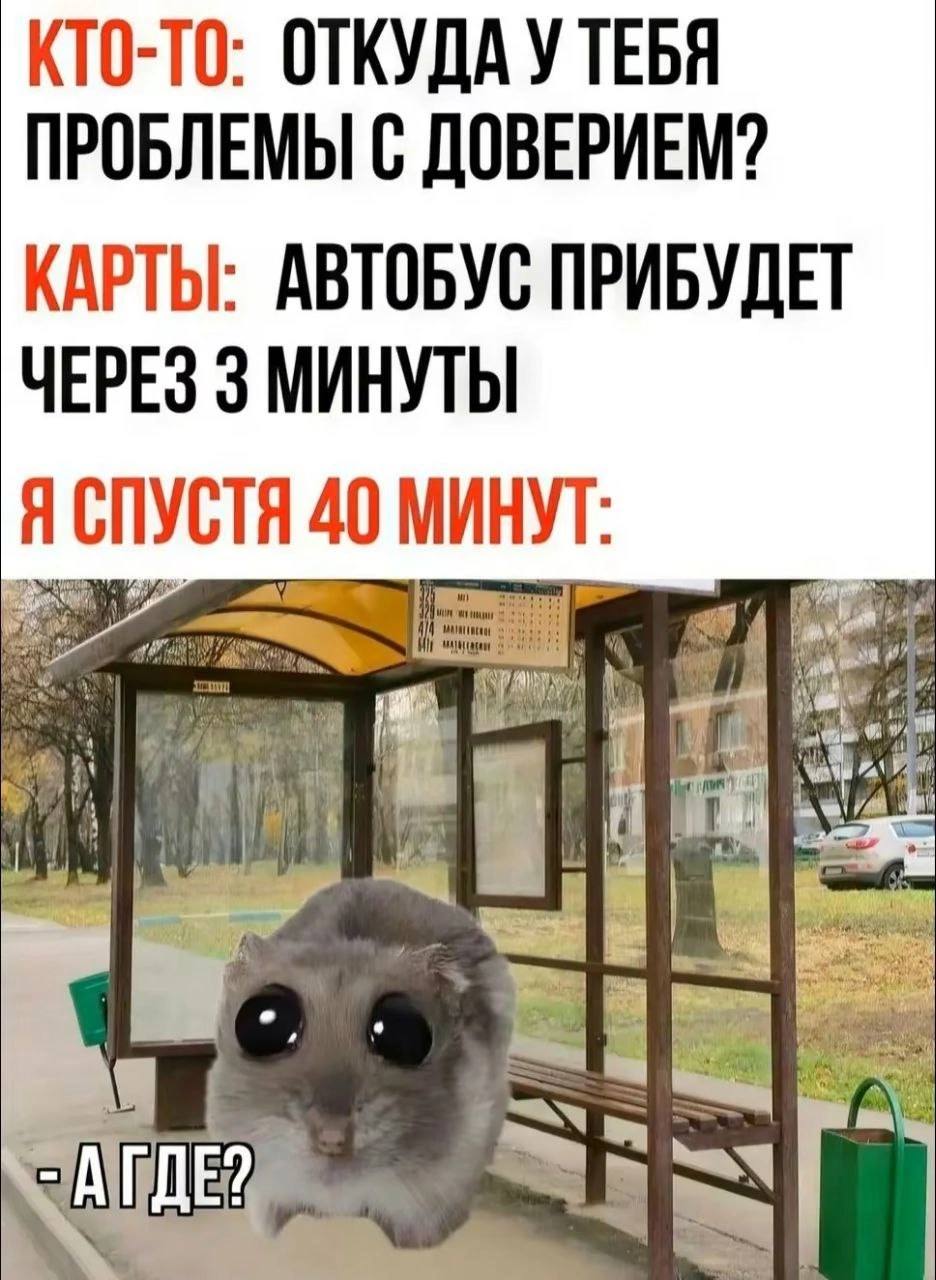КТО-ТО: ОТКУДА У ТЕБЯ ПРОБЛЕМЫ С ДОВЕРИЕМ? КАРТЫ: АВТОБУС ПРИБУДЕТ ЧЕРЕЗ 3 МИНУТЫ Я СПУСТЯ 40 МИНУТ: