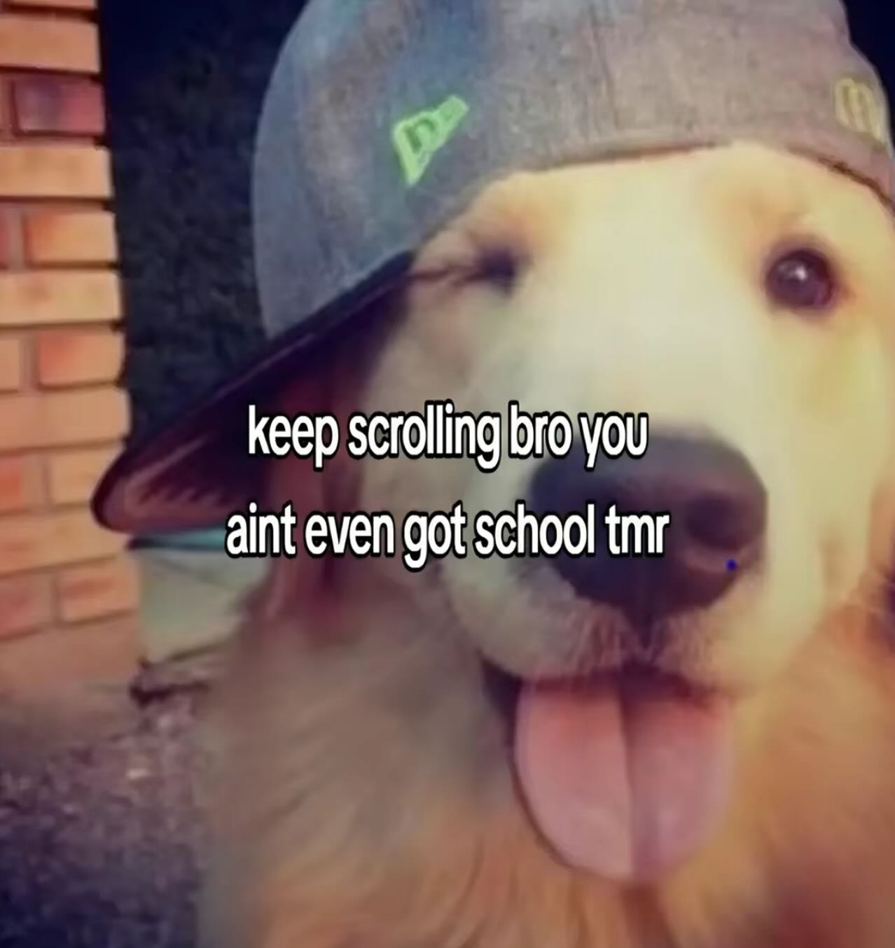 keep scrolling bro you aint even got school tmr