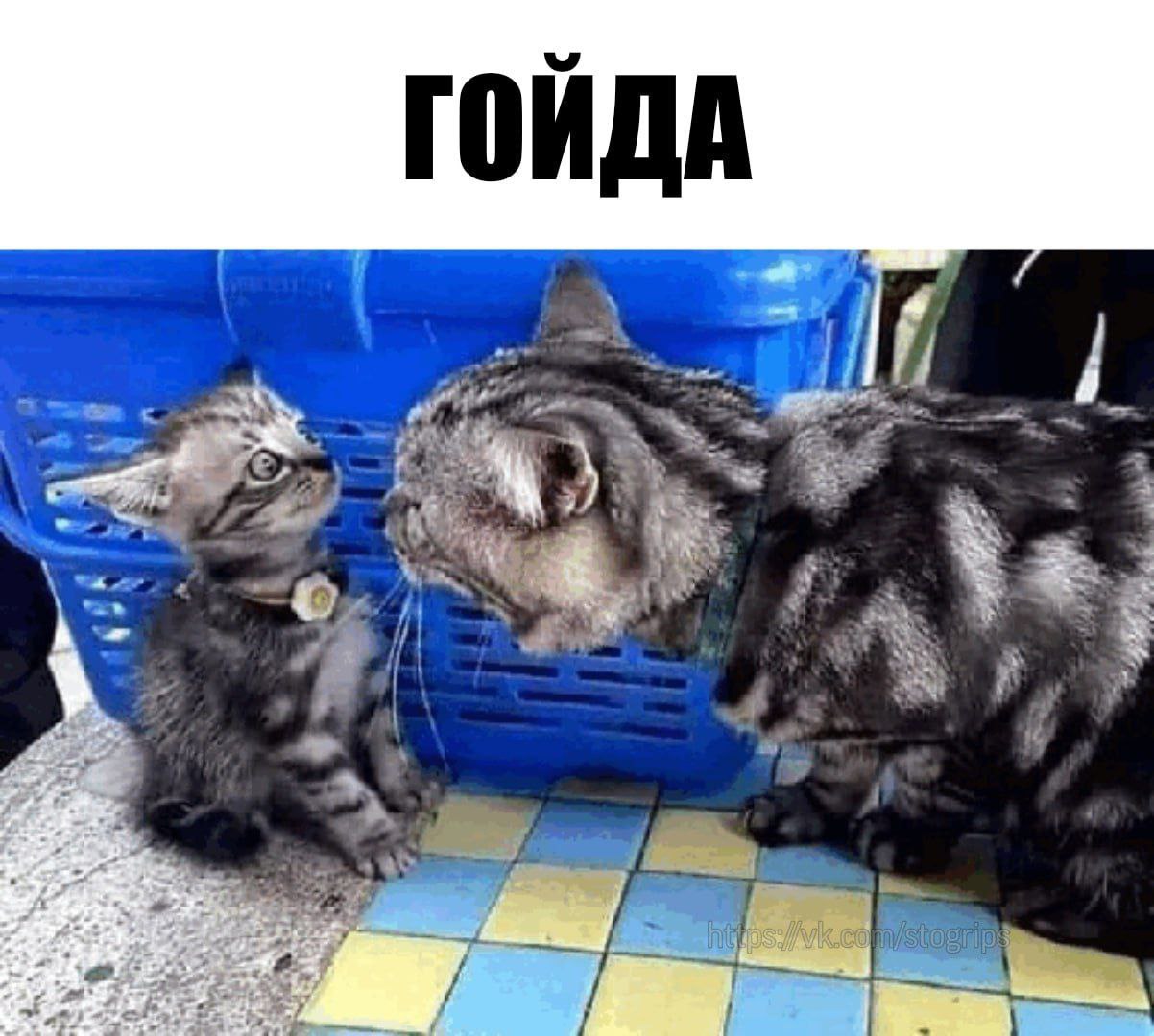 A a 3 я к