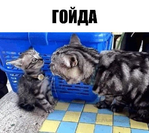 A a 3 я к