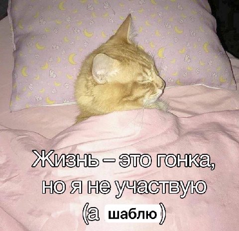 STO ГОНКЕ A He (а