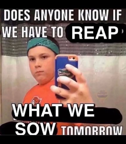 DOES ANYONE KNOW IF WE HAVE ТО REAP 4 WHAT WE SOW