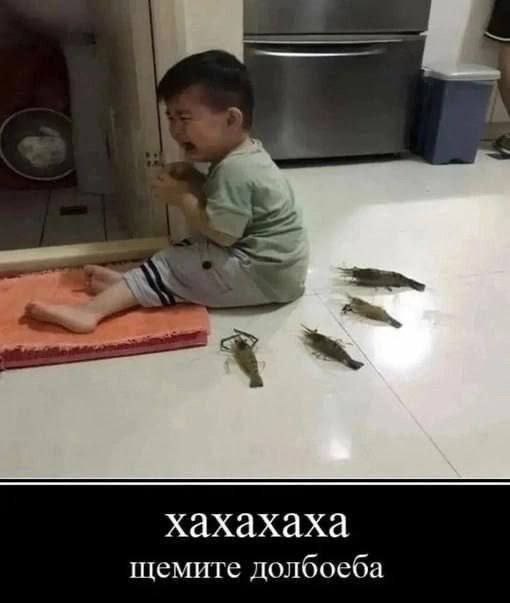 хахахаха щемите долбоеба